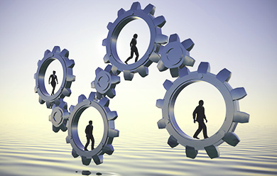 cogs, people, consultants